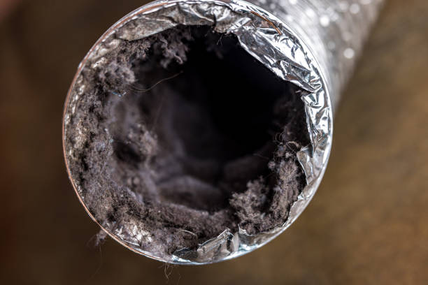 Best Affordable Duct Cleaning Services  in Blackwater, AZ